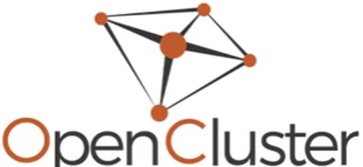 OPEN CLUSTER