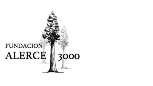 FUNDACION ALERCE 3000