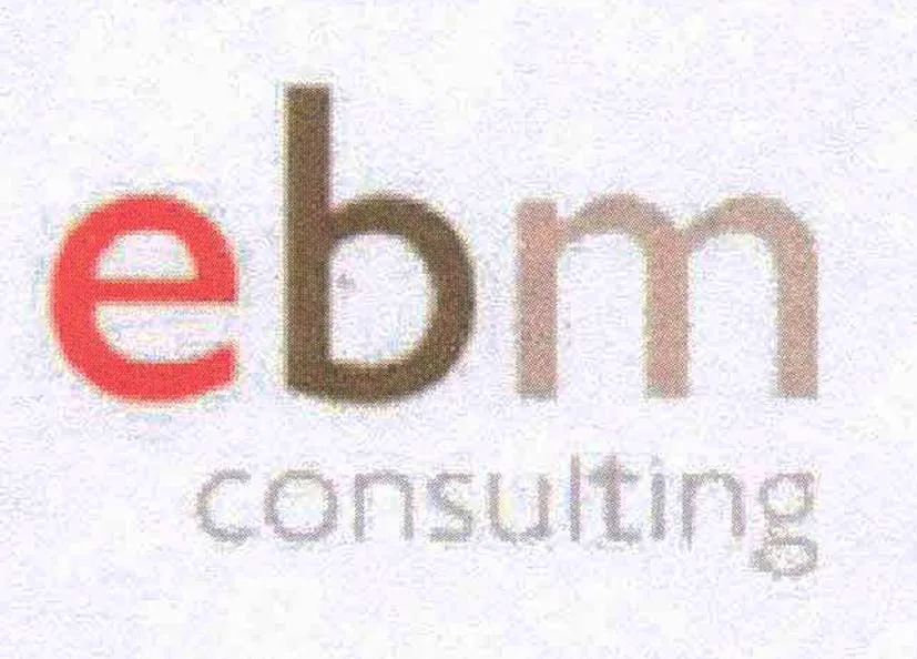 EBM CONSULTING