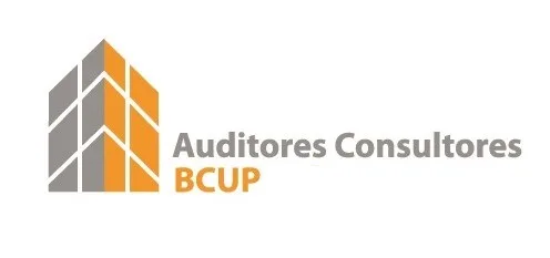 BCUP Auditores Consultores