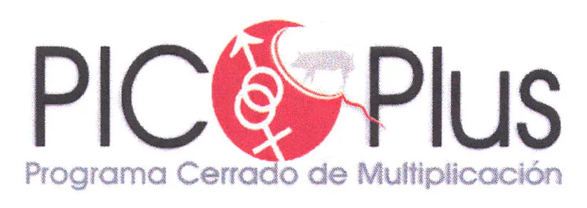 PIC PLUS PROGRAMA CERRADO MULTIPLICACION