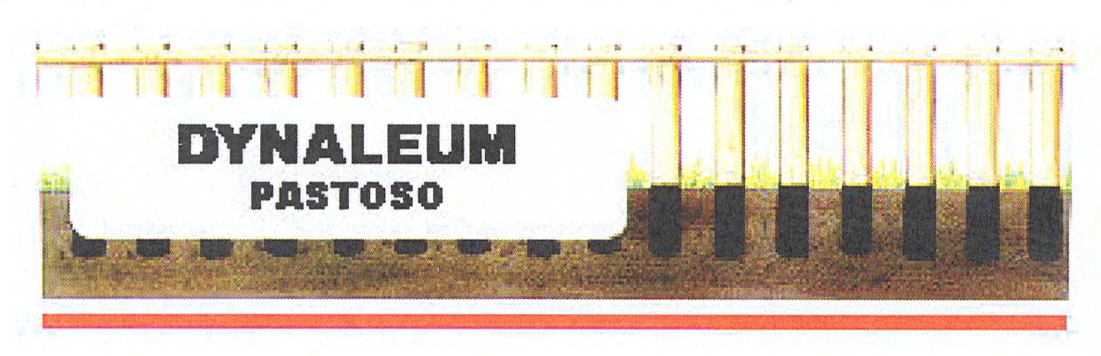 DYNALEUM