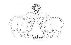PE&ESE
