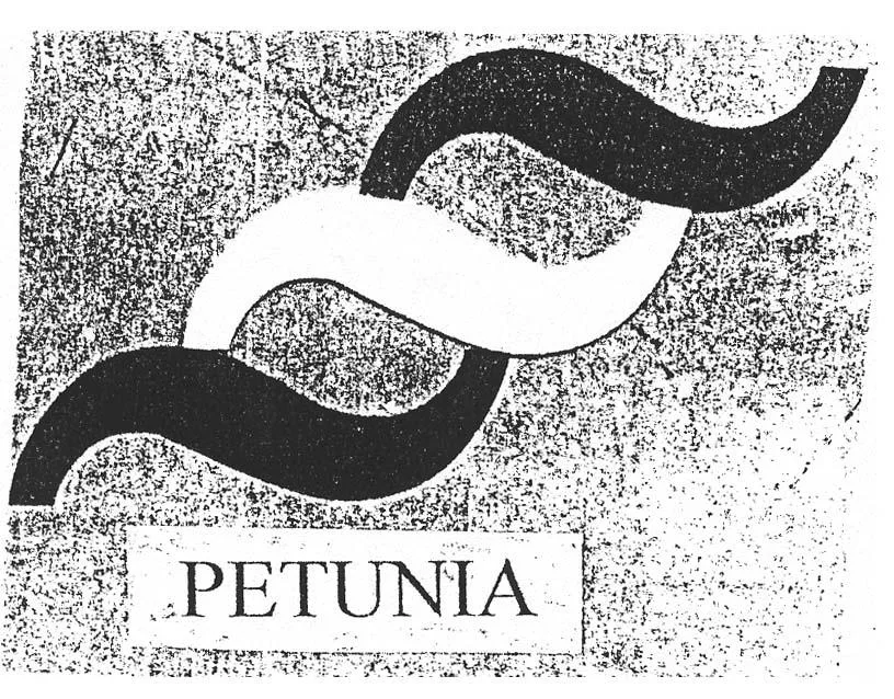PETUNIA