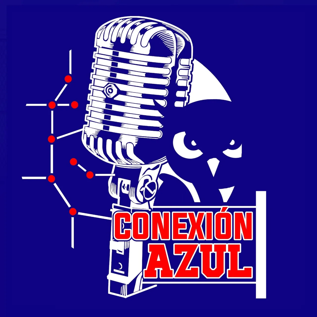 CONEXIÓN AZUL