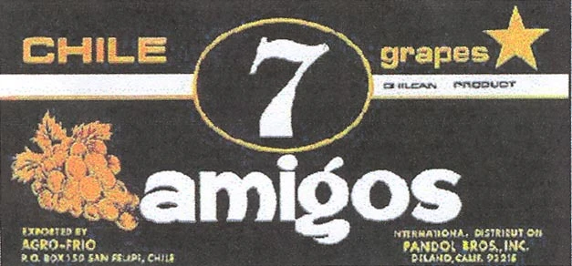 7 AMIGOS