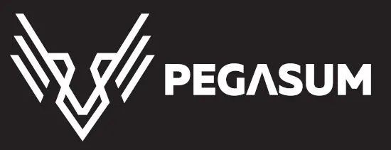 Pegasum