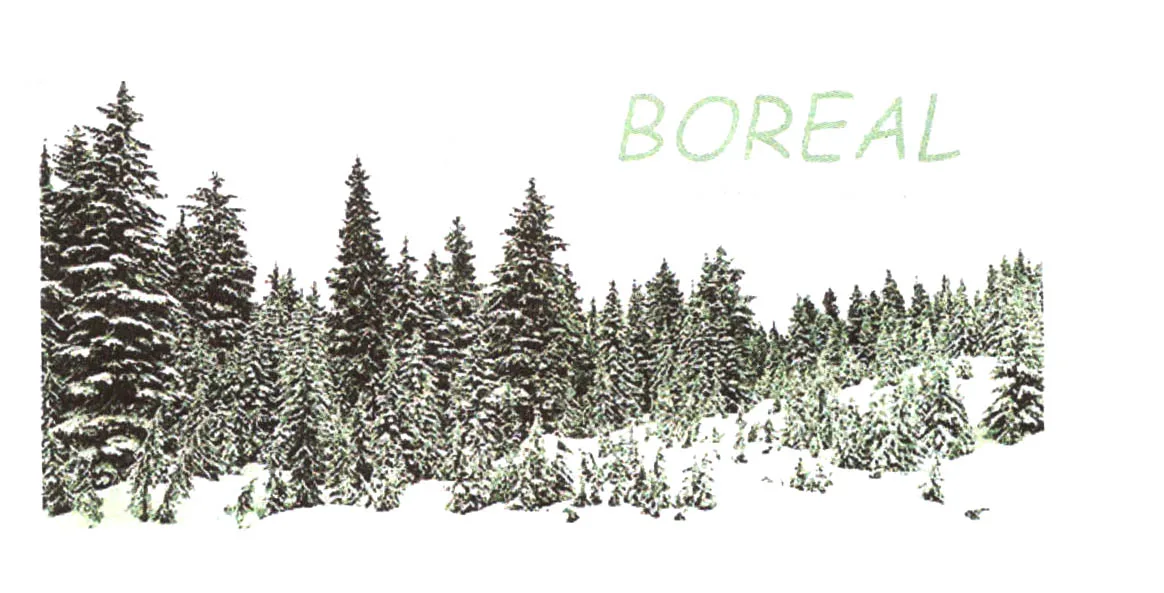 BOREAL