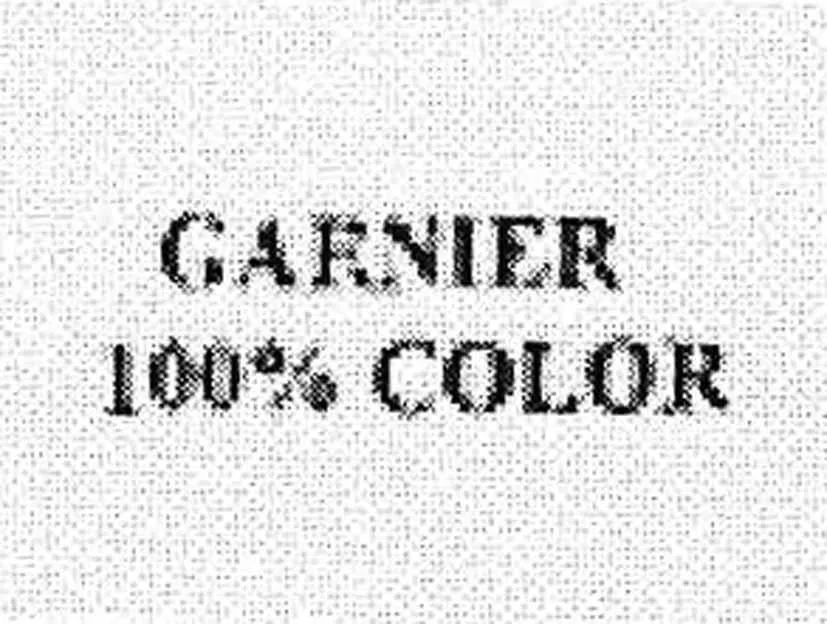 GARNIER 100% COLOR