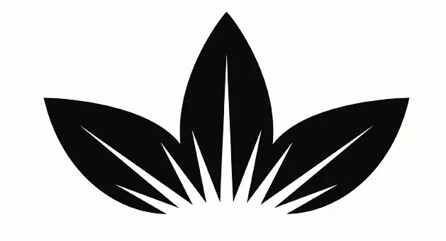 Acta 1308297