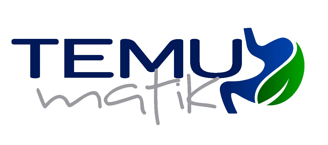 TEMU matik