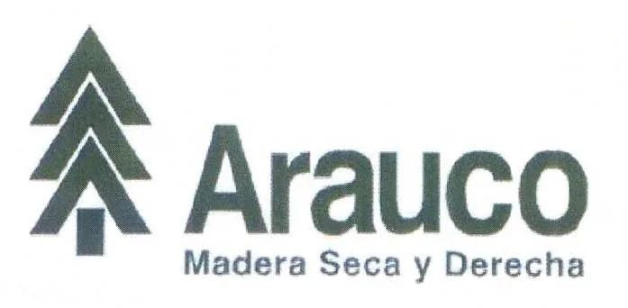 ARAUCO - MADERA SECA Y DERECHA
