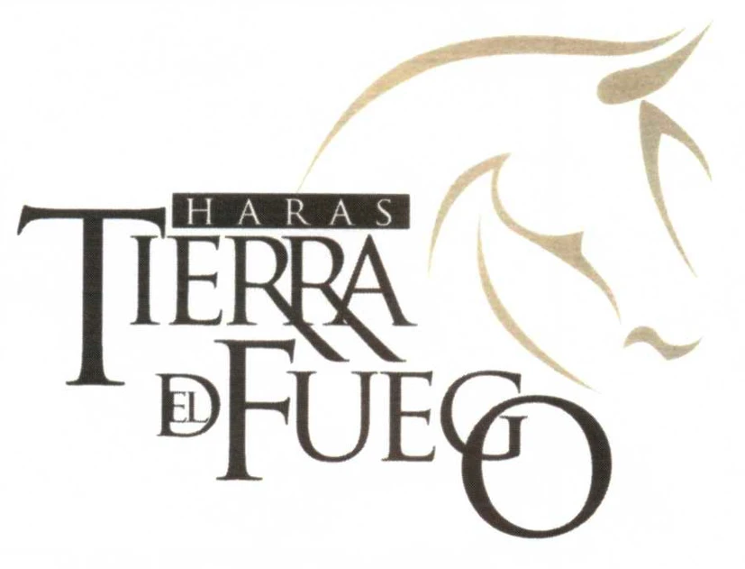 HARAS TIERRA DEL FUEGO