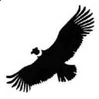 Acta 1140299
