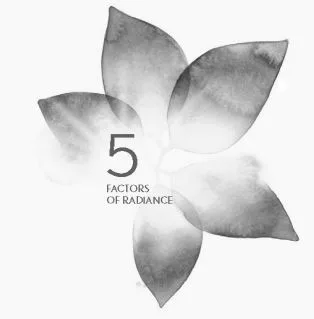5 FACTORS OF RADIANCE