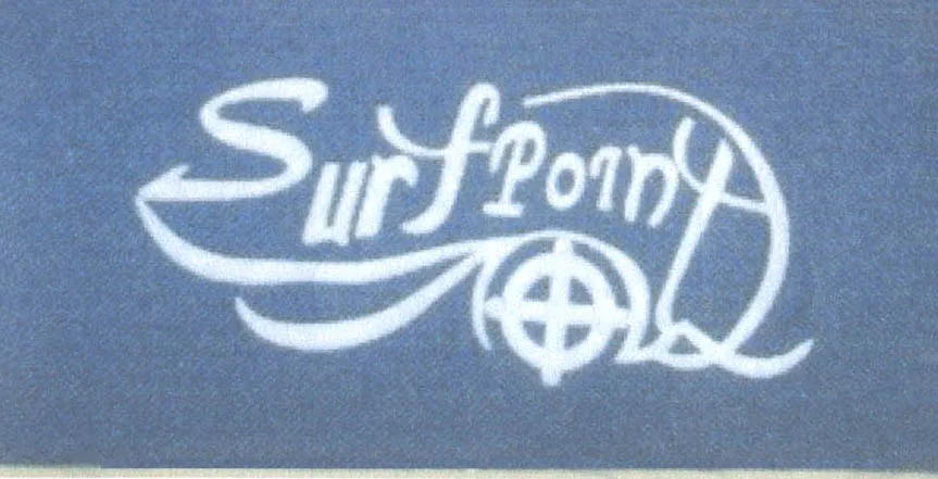 SURF POINT