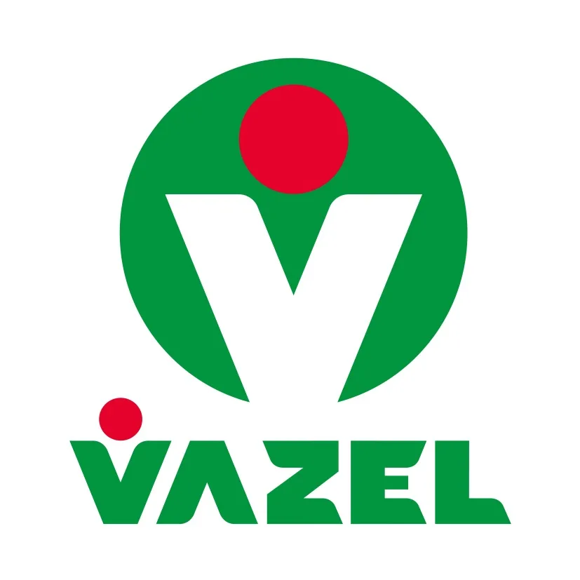 V VAZEL