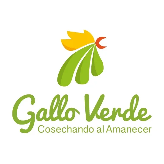 Gallo Verde Cosechando al Amanecer