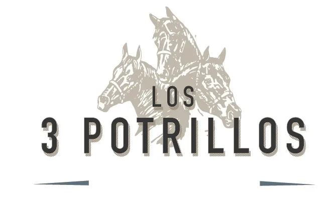 LOS 3 POTRILLOS