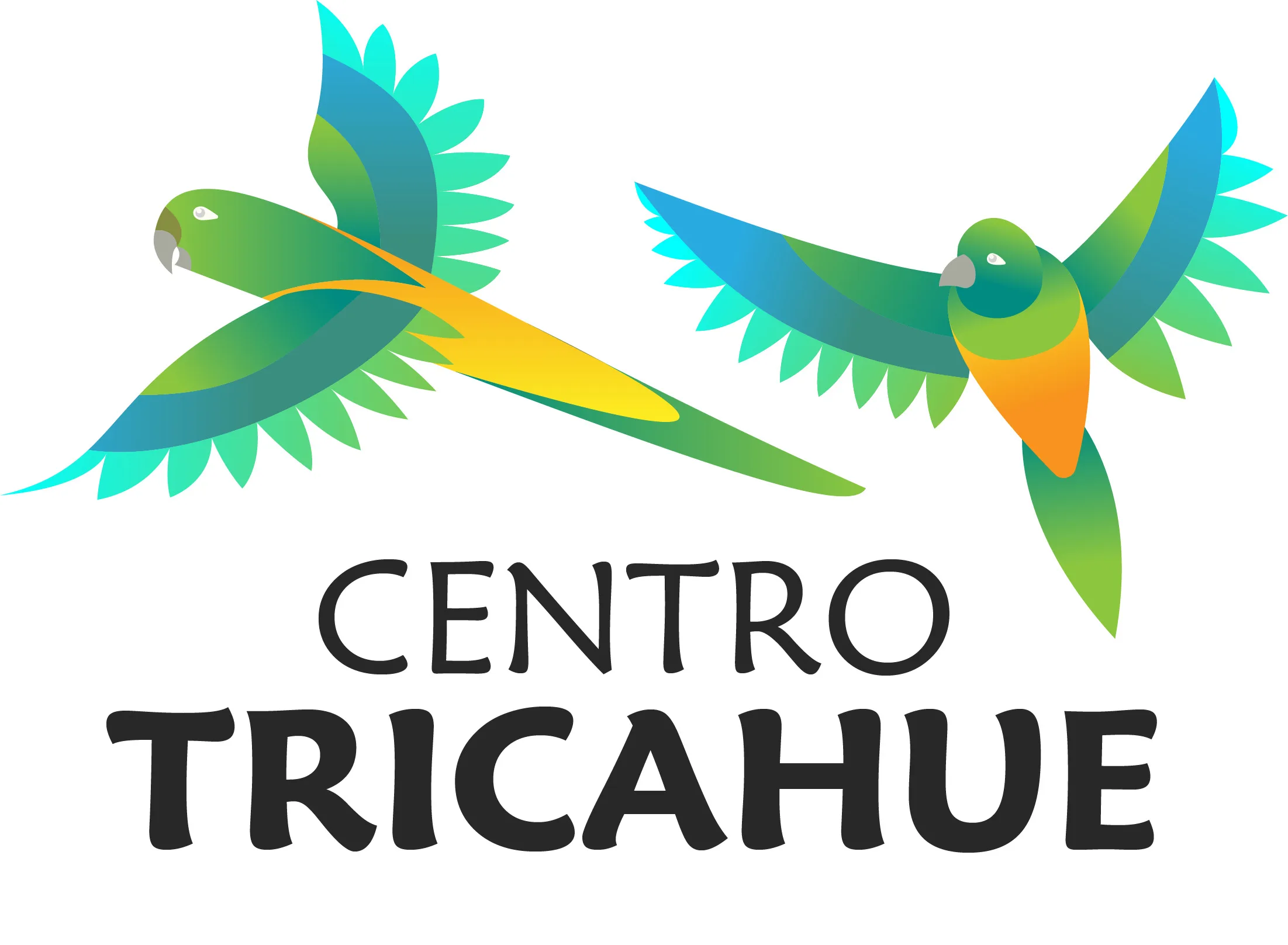 CENTRO TRICAHUE