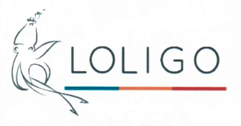 LOLIGO