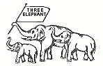 THREE ELEPHANT