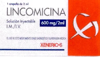 LINCOMICINA