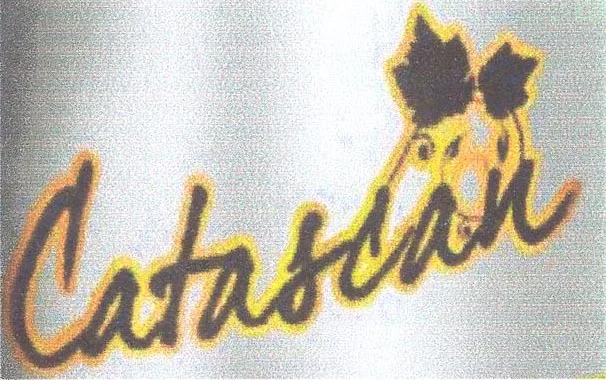 CATASCAN