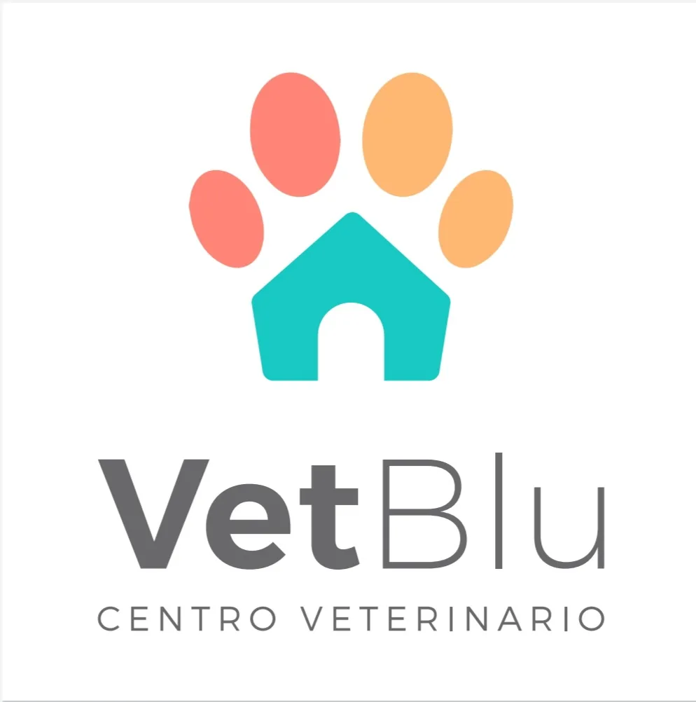 VetBlu