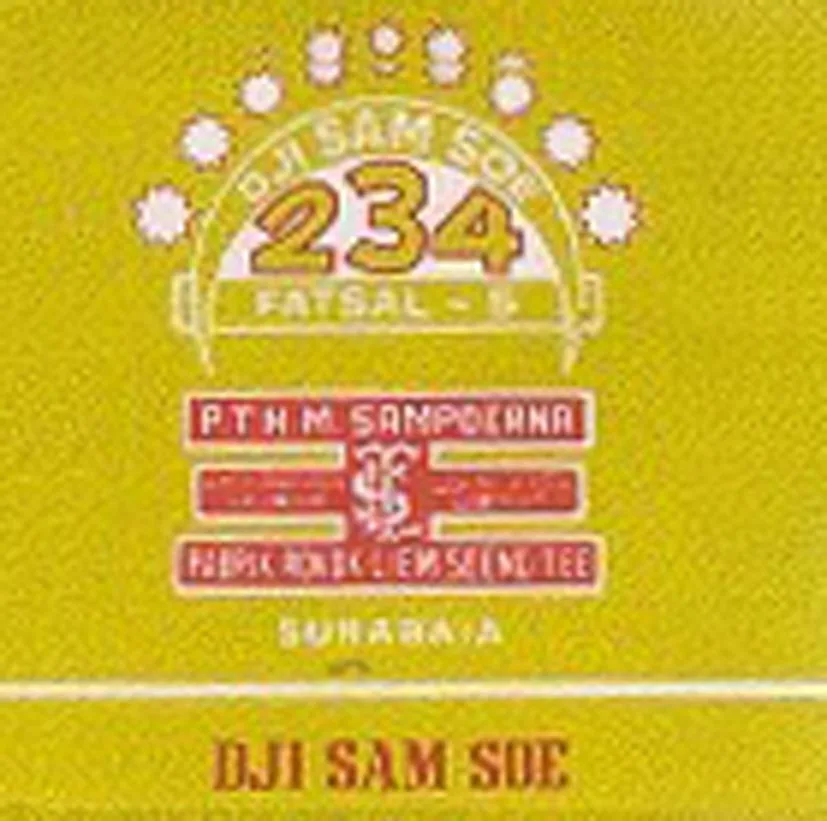 DJI SAM SOE