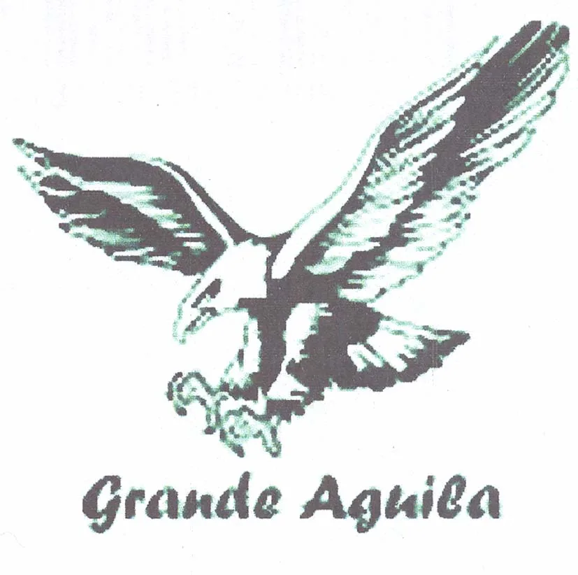 GRANDE AGUILA