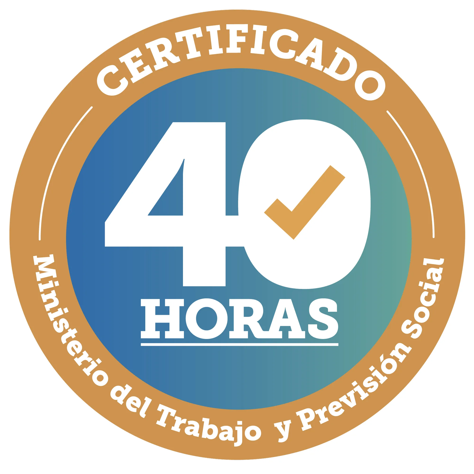 Certificado 40 Horas Ministerio del Trabajo y Previsión Social