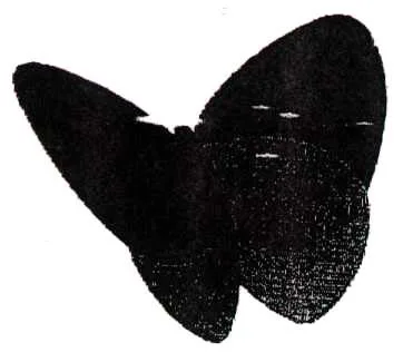 Acta 911309