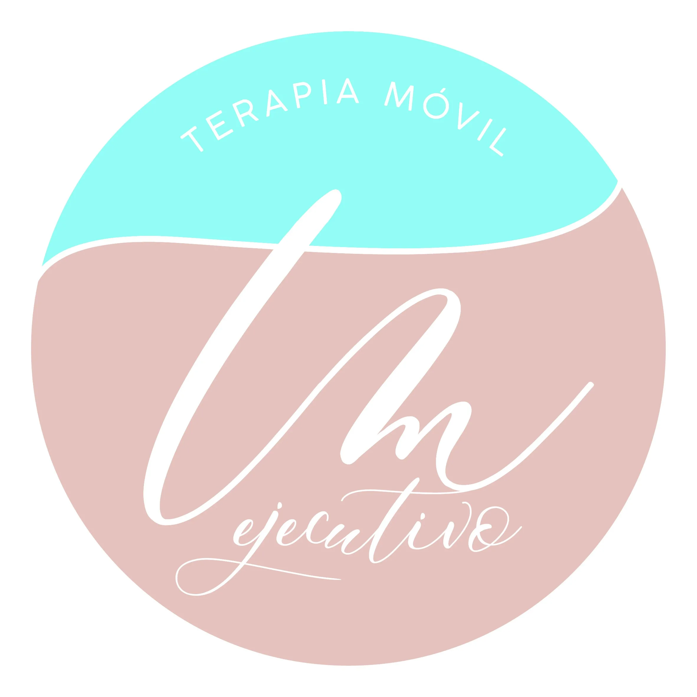 TM EJECUTIVO