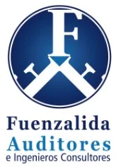 F FUENZALIDA AUDITORES E INGENIEROS CONSULTORES