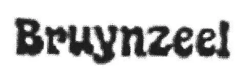 BRUYNZEEL