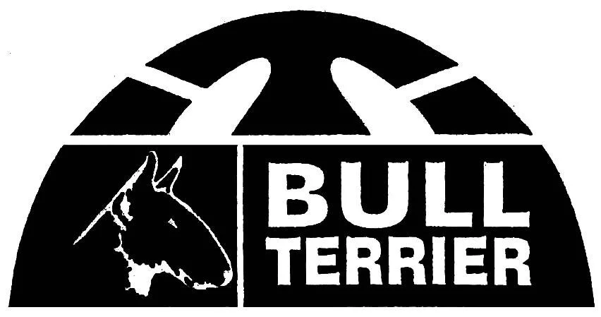 BULL TERRIER