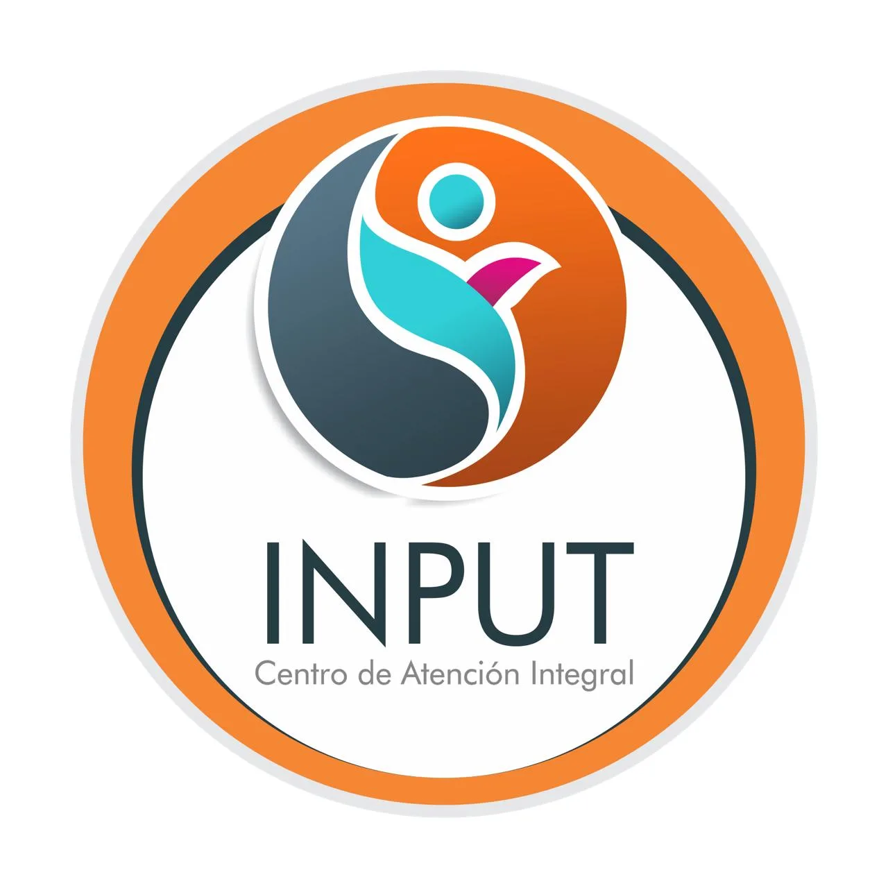 INPUT Centro Atención Integral