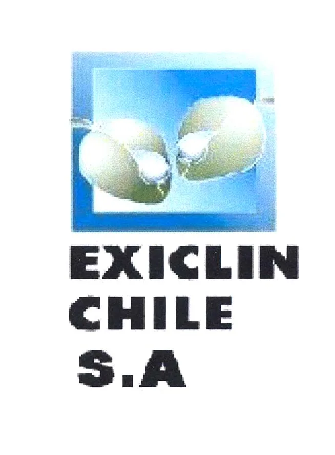 EXICLIN CHILE S.A.