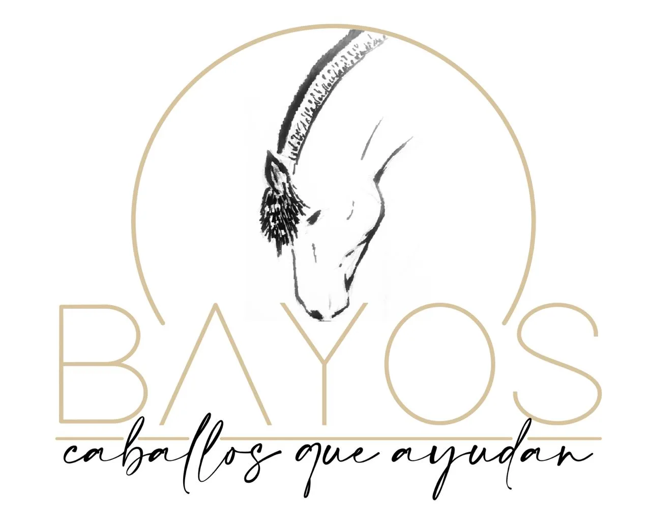 BAYOS CABALLOS QUE AYUDAN