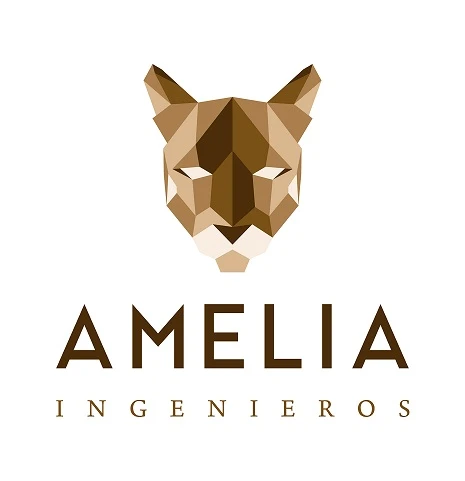 Amelia Ingenieros