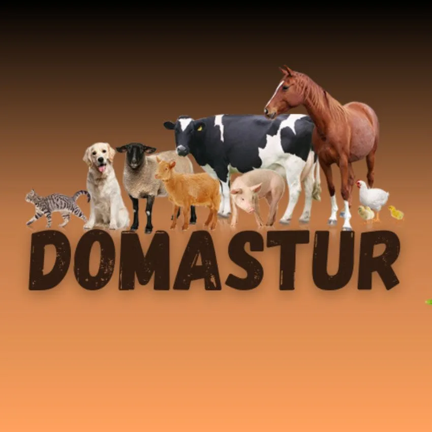DOMASTUR