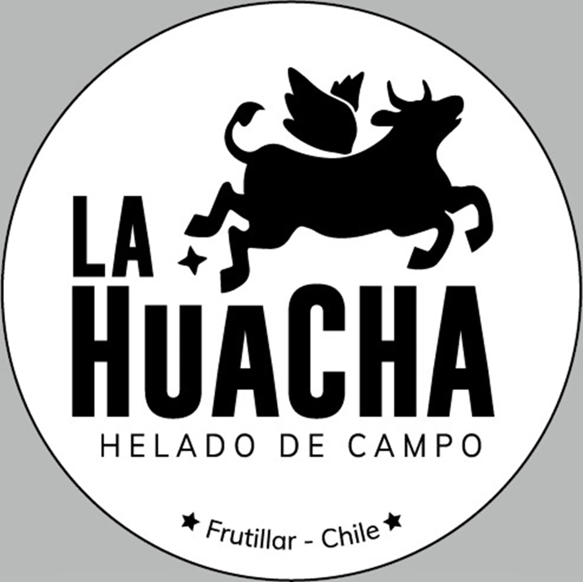 LA HUACHA HELADO DE CAMPO FRUTILLAR CHILE