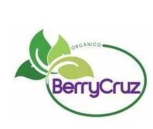 ORGÁNICO BerryCruz