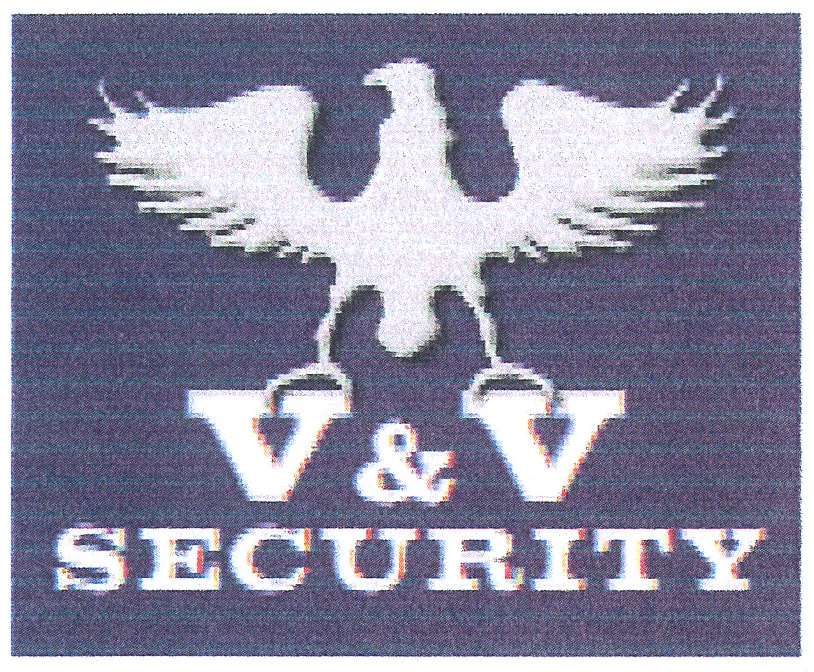 V & V SECURITY