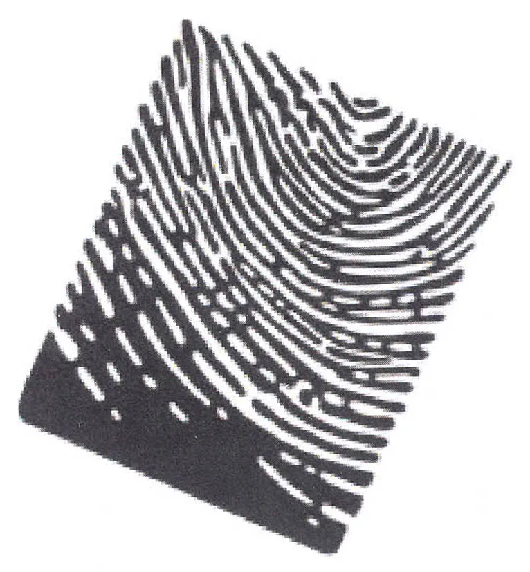 Acta 991323