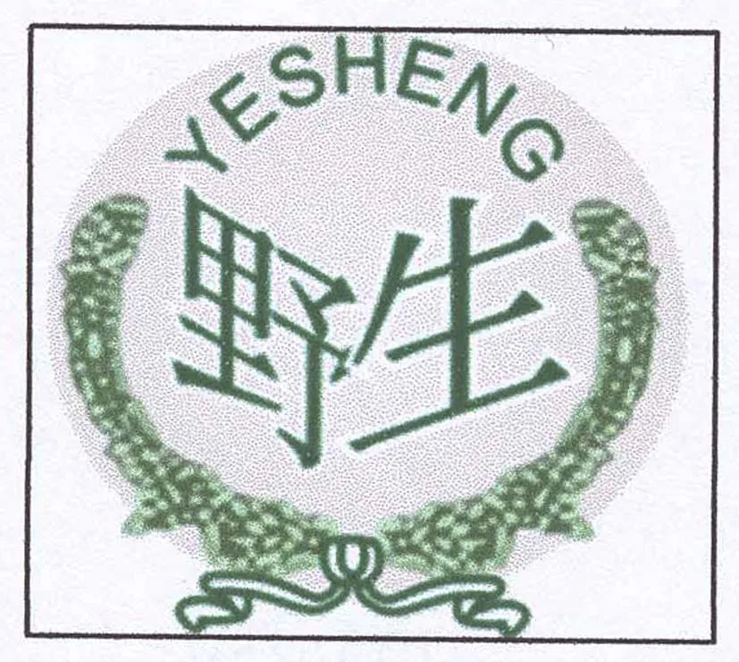 YESHENG