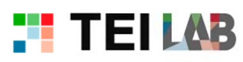 TEI LAB