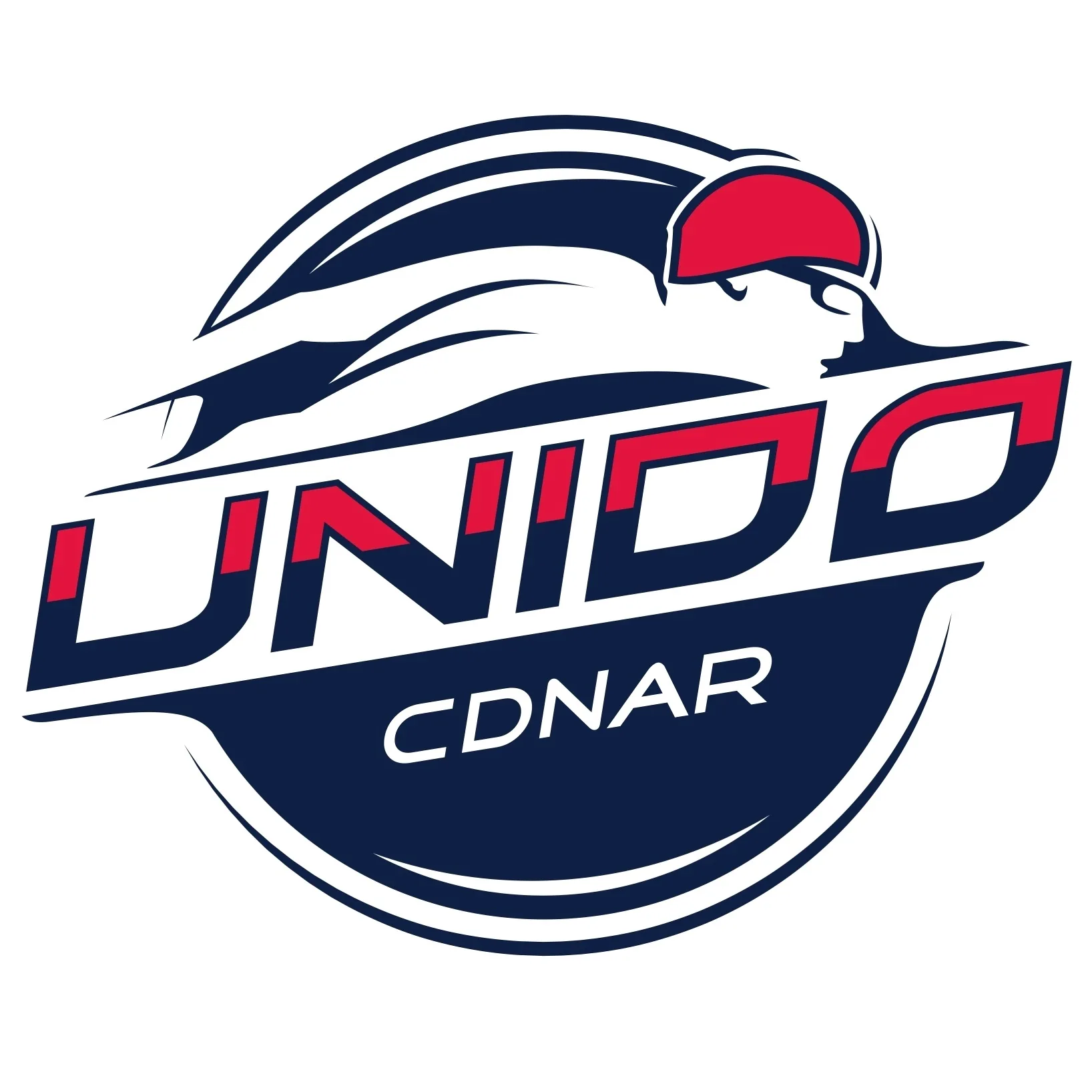 UNIDO CDNAR