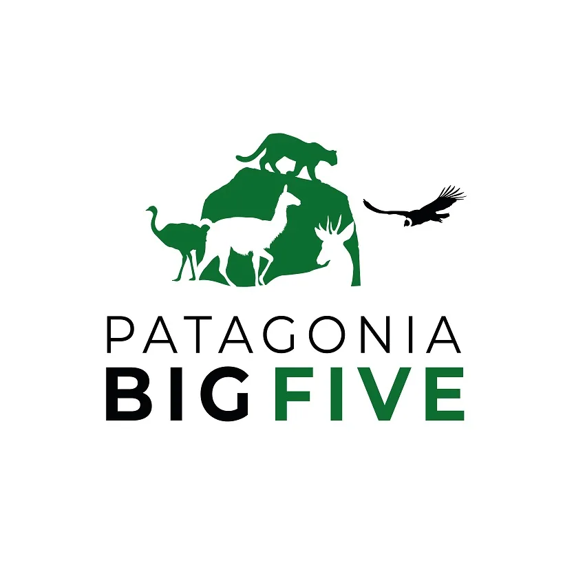 PATAGONIA BIG FIVE